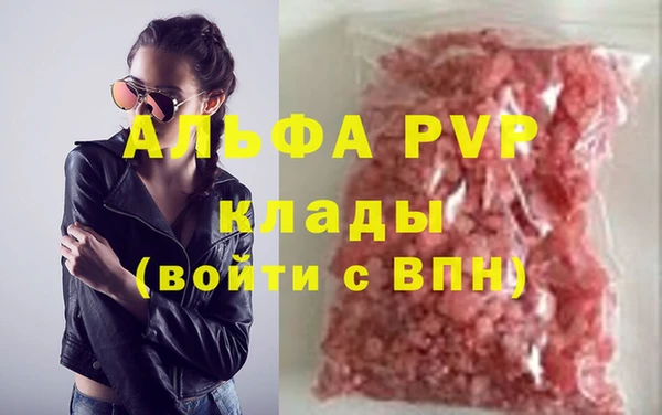 СК Алексин