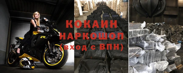 твердый Арсеньев
